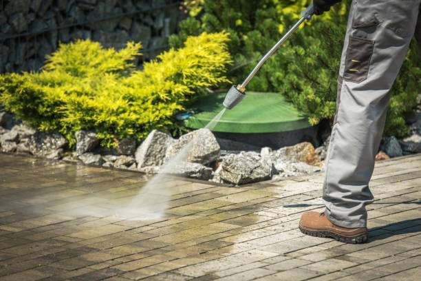 Animal Enclosure Cleaning in San Leon, TX